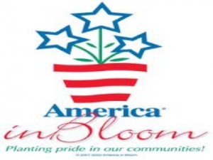 america-in-bloom