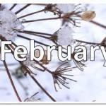 February