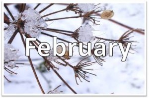 February