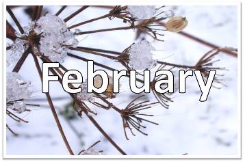 February
